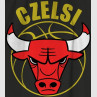 Czelsi Bulls Czeladź