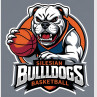 Silesian Bulldogs Katowice